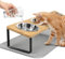 Elevated Cat Bowls with Non Slip Mat, 15° Tilted Raised Anti Vomit Cat Feeder for Food and Water, Pet Feeding Station with 3 Stainless Steel Bowls