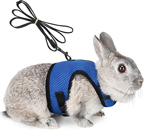 Verstellbares Weiches Katzengeschirr Kaninchen Geschirr mit Elastischer Leine für Kleines Tier Kitty Haustier Geschirr und Leine für Häschen Katze Little Pet Walking (L(Brust 28 -35cm), Blau)