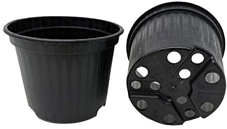 GREEN24 Runde Pflanztöpfe Ø 9 cm 50 Stck. Profi Anzuchttopf Pflanztopf Blumentopf Rundtöpfe …