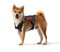 OneTigris Hundegeschirr, FIRE WATCHER Taktische Geschirr Sicherheitsgeschirr Hunde Hundeweste mit 1 Griffe und 2 D-Ring 1000D Nylon (XS, Schwarz)