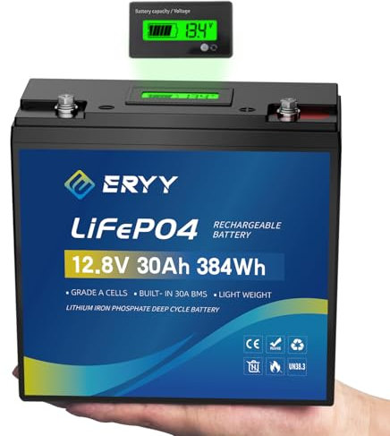 ERYY Batteria LiFePO4 12V 30Ah, Batteria al Litio con 5000+ Cicli e BMS 30A, Batteria Ricaricabile Leggera per Camper, Attrezzatura da Campeggio,Motori per Pesca,Accumulo Solare/Domestico,Ecoscandagli