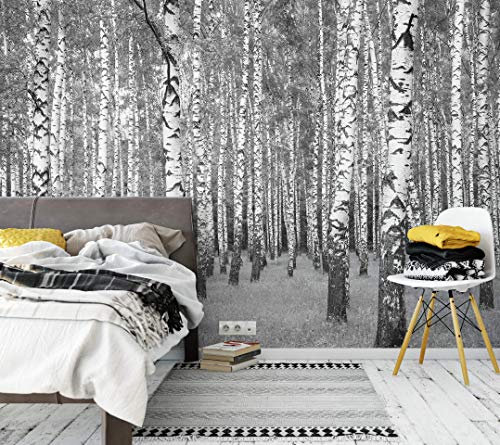 awallo Fototapete «Birkenwald» in Grau, Schwarz, Weiß | Vliestapete 336x260cm | XXL Bild-Tapete Wand-Bild Digitaldruck
