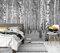 awallo Fototapete «Birkenwald» in Grau, Schwarz, Weiß | Vliestapete 336x260cm | XXL Bild-Tapete Wand-Bild Digitaldruck