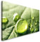 Paul Sinus Art GmbH Wassertropfen auf einem Blatt 120x 50cm Panorama Leinwand Bild XXL Format Wandbilder Wohnzimmer Wohnung Deko Kunstdrucke