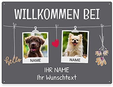 Hunde Schild personalisiert - Willkommen bei - Metallschild mit Foto und Name für außen, wetterfestes Türschild für Hundebesitzer - DIN A5-21 x 15 cm, Zwei Tiere, grau