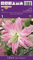 Lilienzwiebeln : Lilien Lilium orientalis Gefüllte Orientalische Lilie  Lotus Elegance  1 Blumenzwiebeln