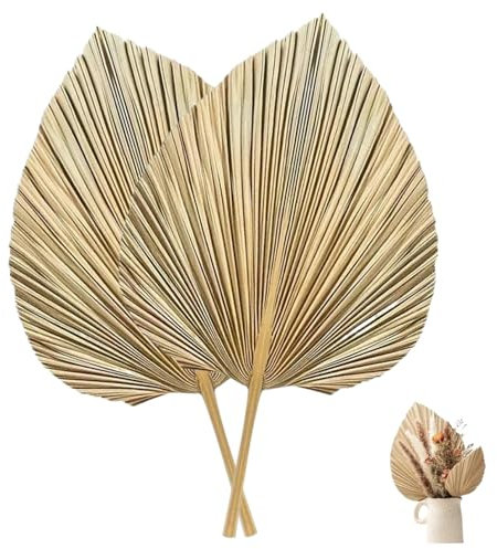 Lot de 2 grandes feuilles de palmier séchées de 45 x 24 cm, feuilles tropicales de style bohème pour vase de mariage, arrangements de table