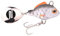 SPRO ASP Spinner UV– Searchbait mit original Gamakatsu Haken zum Angeln auf Raubfisch, Spinnangeln, Gewicht:14g, Farbe:Roach UV