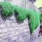 200 Graines De Thym Rampant Graines De Fleurs Rock Cress Ground Cover Graines Tapis Evergreen Plante Facile à Cultiver Pour Jardin Pelouse