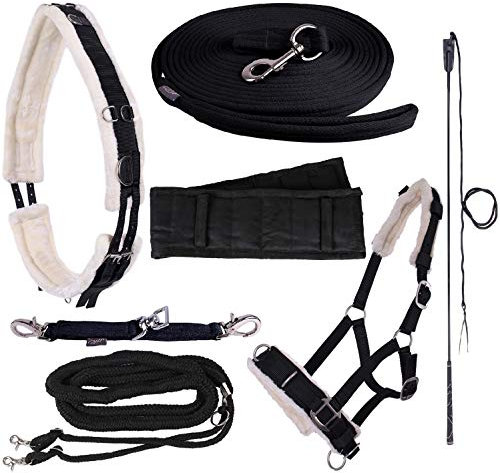 NETPROSHOP Longieren Zubehör Farbe Schwarz Wählen Sie: Zaum, Longe, Pad oder Gurt usw., Auswahl:Longiergurt, Groesse:Pony