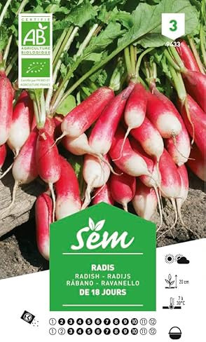 Sem Graines potagères Radis De 18 Jours