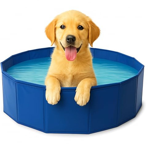 ADEPTNA Foldable Pet Paddling Pool Portable PVC Dog & Cat Bathing Tub for Outdoor Garden 80cm x 20cm Durable Easy Setup Garden Hose Connection Splash Sprinkler Function for Summer Fun