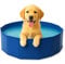 ADEPTNA Foldable Pet Paddling Pool Portable PVC Dog & Cat Bathing Tub for Outdoor Garden 80cm x 20cm Durable Easy Setup Garden Hose Connection Splash Sprinkler Function for Summer Fun