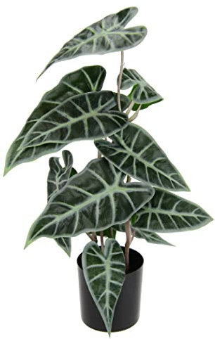 Künstliche Calatheapflanze Kunst-Pflanze Seidenblumen Kunstpflanzen Kunstblume Pflanze Dekopflanze Zimmerpflanze Grünpflanze Zebrina Alocasia Sanderiana Pfeilblätter Elefantenohr Sanderiana Fiorella