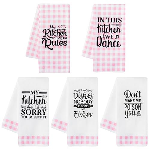 R HORSE Pink Kitchen Towels - 5PCS Funny Dishcloth Decorative Dish Hand Towels Set for Kitchen Soft Extra Absorbent and Bar Accessories Gift for Hostess Mom Women Housewarming, 40×60cm