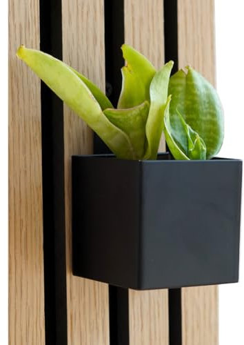 Steinmine - Designmanufaktur Zubehör für Wandorganizer & Akustikpaneelen (Sukkulente u. Behälter Akustikpaneele Hochkant)