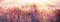 PICSonPAPER Hochwertiges Poster Panorama Blühendes Mohnfeld, 110 cm breit x 40 cm hoch, Dekoration, Kunstdruck, Wandbild, Fineartprint, Mohn, Mohnblumen, Sonnenstrahlen