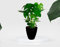 Elly Décor Fioriera in plastica da 43,2 cm con drenaggio, per esterni e interni, leggera e resistente, fioriera conica alta 43,2 x 40,6 cm, nera