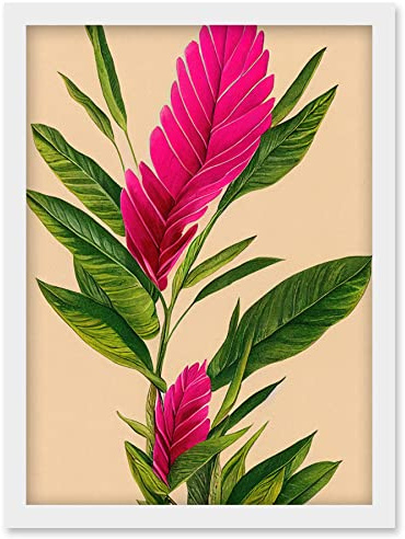 Wee Blue Coo Tropical Hawaiian Botanical Exotic Pink Floral illustration Artwork Framed Wall Art Print A4