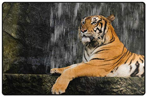 Use7 Tier Tiger Steinbereich Teppich Teppich Teppich für Wohnzimmer Schlafzimmer 50 x 80 cm
