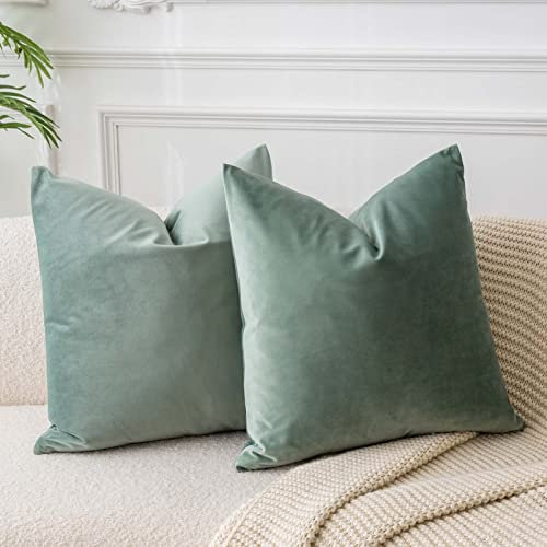 JUSPURBET Salbei Samt-Kissenbezüge71cmx71cm 2er-Set für Wohnzimmer Couch Sofa Schlafzimmer Dekorative Quadratische Feste Weiche Kissenhüllen mit unsichtbarem Reißverschluss