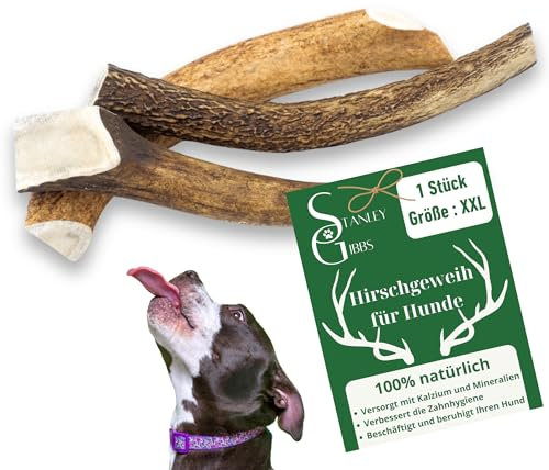 Hirschgeweih-Kauknochen für Hunde (Größe, XXL)
