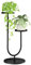 Bamworld Porta Piante da Esterno Interno Portavasi da Interno Portavasi Ferro Supporto per Piante Scaffale per Piante da Balcone(Nero)