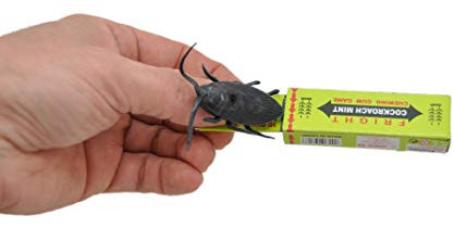 jameitop® 4er SET Kakerlake FAKE Kaugummi Ungeziefer - böser Scherzartikel