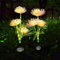 Luces Solares Jardín, Luces Solares Exterior 2 Pieza LED Flores Lámparas Solar, Impermeable Luces Solares LED Exterior para Jardín, balcón, patio, césped, terraza, Césped, Entrada, Pasarela