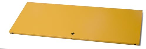 Limics24 - Klapptür Für USM Haller Ohne Beschlag - Goldgelb - RAL 1004-75 50 35 cm - Neu (75x35 cm)
