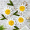 Easy Joy 6.6ft Daisy Paper Garland Yellow White Daisy Flower Banner Spring Summer Hanging Garland Floral Party Banner Paper Flower Leaves Strings for Garden Birthday Baby Shower Nursery Party Supplies