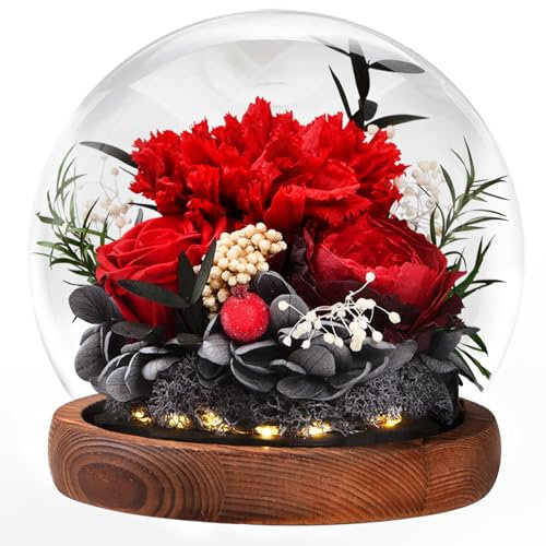 Ewige Rose im Glas mit Licht, Infinity Blumen Konservierte Rosen Nelken als Geschenke für Frauen Mama Oma Freundin zum Valentinstag Muttertag Geburtstag Jahrestag Thanksgiving Hauptdekor Weihnachten
