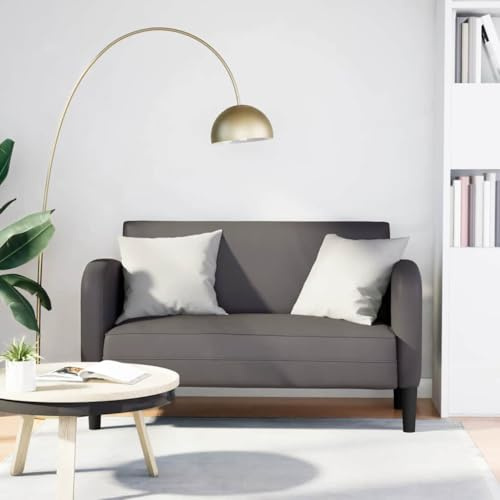 mtlskopl Zweisitzer-Kunstleder-Sofa 124 x 67 x 70 cm Grau Modernes Mini-Sofa mit Federkern und Sperrholzgestell Kleines Couch für Wohnzimmer Büro Küche Jugendzimmer