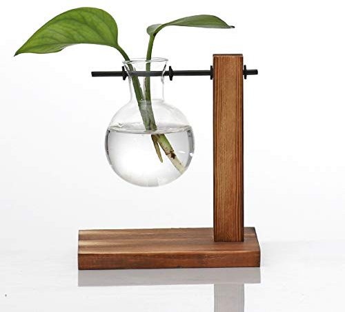 Kingbuy Glas-Pflanzgefäß, Blumenzwiebelvase, Desktop-Pflanzenterrarium mit Retro-Ständer aus massivem Holz, für die Anzucht, Hydrokultur, Wasserpflanzen, Zuhause, Garten, Büro, Dekor