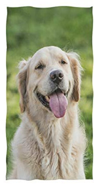 BIGJOKE Handtuch mit süßem Hundemotiv, sehr saugfähig, für Fitnessstudio, Reisen, Fitness, Spa, Zuhause, Küche (76,2 x 38,1 cm)