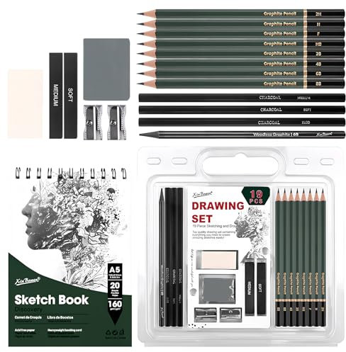 hicoosee Set de 19 Suministros de Arte Profesionales, Lápices de dibujo Perfecto para Artistas y Principiantes, Diseño de Artista con Lápices de Bocetos, Goma de Borrar, Palo de Carbón