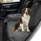 Angooni Dog Car Seat for Small to Medium Dogs - Booster Dog Seat - Dog Car Seat with Storage Bags - Convertible Dog Basket Car with Plush Cushion for Front Seat Rear Seat (Black)