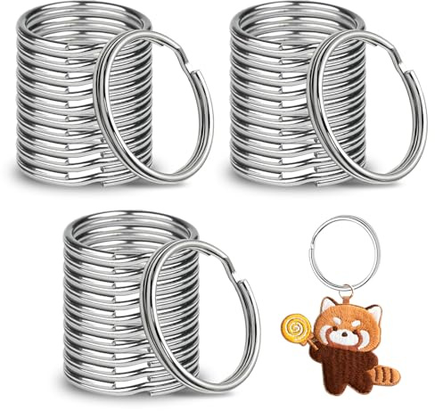 200 Stück Schlüsselringe 25mm Schlüsselring Metall Silber | Rund Schlüsselanhänger Ring für Schlüssel,Schlüsselanhänger Zubehör,Basteln,Ornamente und DIY