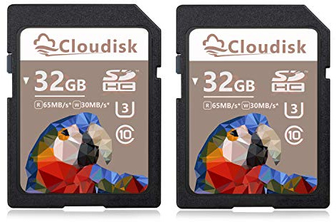 Cloudisk 2PACK Scheda SD UHS-3 Flash Memory Card (32 GB 2 pezzi)