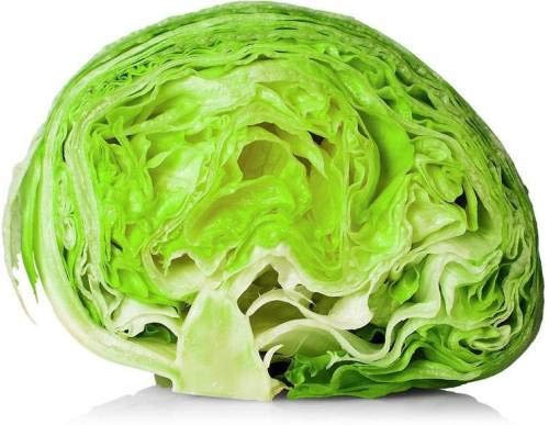 Lattuga Iceberg Semi di Graine