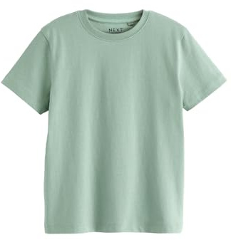 NEXT Jungen Regular Fit Kurzarm-T-Shirt Green Mineral 98-