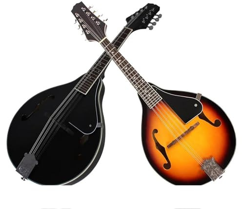 Anfänger-Mandoline Professionelles Mandolinen Übungsinstrument für Anfänger