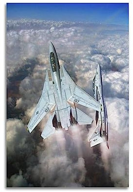 NOHF Fighter Poster für F-14 Tomcat Fighter Poster, Wandkunstdruck, Retro-ästhetische Raumdekoration, Malerei, Leinwand, Poster für Zuhause und Büro, 20 x 30 cm, ungerahmt