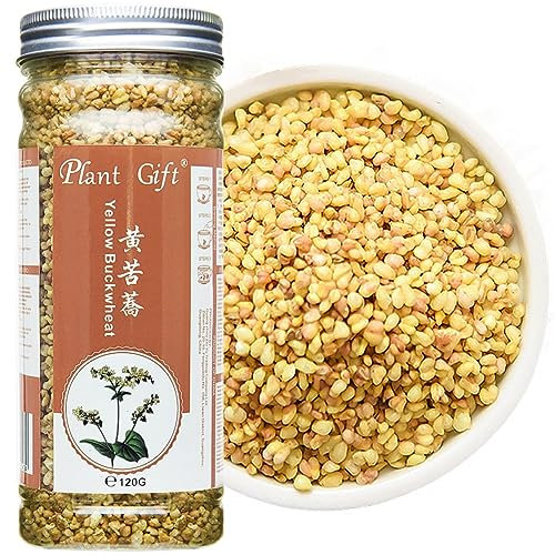 Plant Gift Thé jaune au sarrasin 120 g – Thé sans caféine, délicieux goût authentique, sarrasin amer, sarrasin tartarie