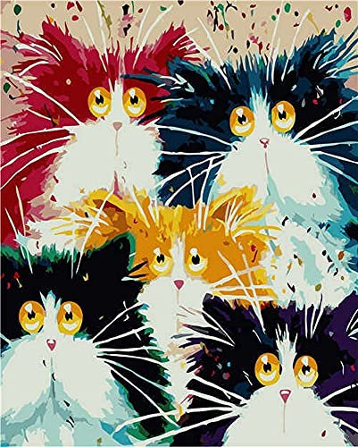 Artnapi Malen nach Zahlen Erwachsene mit Rahmen | DIY Handgemalt | Fünf farbige Katzen | Kit für Anfänger und Erwachsene | Set inklusive Acrylfarben & Pinsel | 40x50cm Leinwand | Ideal als Geschenk