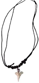 1 Halskette Schwarz Art 4, echter Zahn Hai Anhänger 3 cm ca. Sind immer unterschiedlich