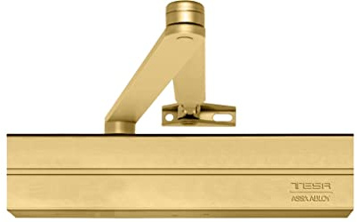 Tesa Assa Abloy CT300036OR Door Closer, Gold