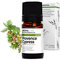 Aroma Labs - Ciprés - Aceite Esencial Orgánico - Quimiotipado y Certificado AB - 5 mL