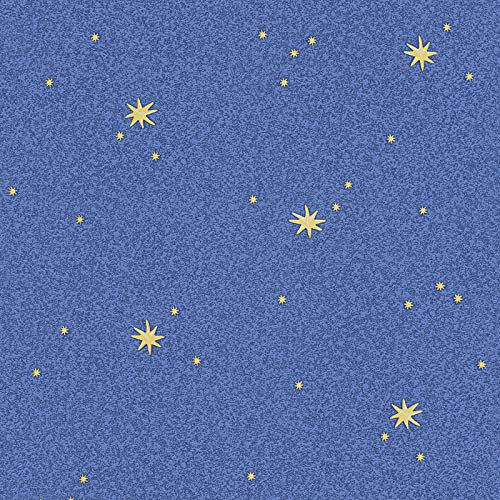 BRICOFLOR Papier peint enfant motif ciel étoilé | Tapisserie bleue avec des étoiles | Papiers peints parfaits pour chambre d'enfant