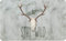 IHR - MCB 882100 - Breakfast Board, Stay Wild, Melamine, 23.5 cm x 14.5 cm, Grey